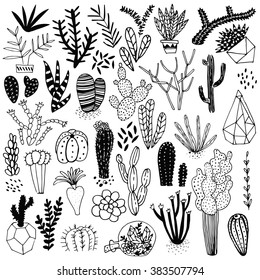 Black and white hand drawn cactus and succulents. Vector set with succulents flowers, concrete pots and glass terrariums. Vector illustration.