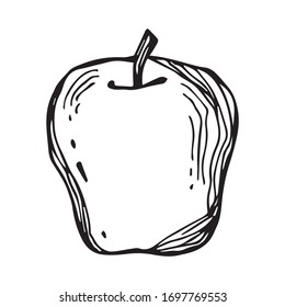 black and white hand drawn etching apple