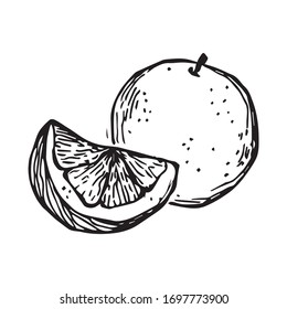 black and white hand drawn etching orange
