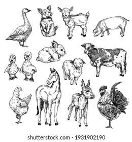 Black and white hand drawn farm animals (goose, pig, cow, rabbit, donkey, chicken, cock, two ducklings) on white background.