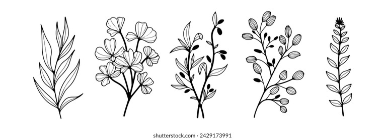 Black and white hand drawn floral illustration with different wildflowers and plants. Contour of branches and flowers on a white background.