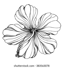 black and white Hand drawn floral ornament with hibiscus flower. Vector EPS 10 
