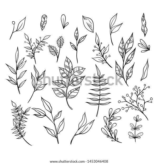 Black and\
White Hand Drawn Floral Ornament Collection With Branches and\
Leaves. Decorative Elements for\
Decoration