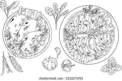 Mano blanca y negra dibujada de comida. Comida de pollo y filete de pollo. Vector de ilustración de comida