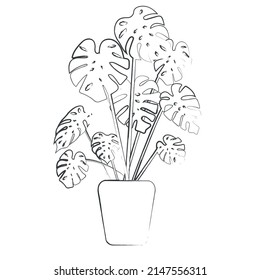 Black and white hand drawn houseplant.Poster.banner,label. Vector isolated.