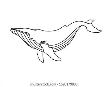 12,403 Whale outline Images, Stock Photos & Vectors | Shutterstock