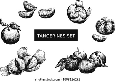 Black and white hand drawn Illustration. 
Vector image tangerines set. 
Transparent background.