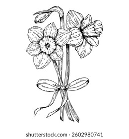 Black and white hand drawn illustration of a daffodil bouquet tied with a ribbon. Perfect for spring greeting cards, International Women s Day, botanical projects, packaging and holiday decoration