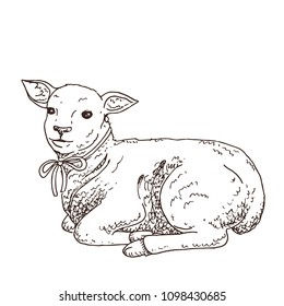 Black and white hand drawn lamb. Cute small animal. Easter symbol. Doodle illustration