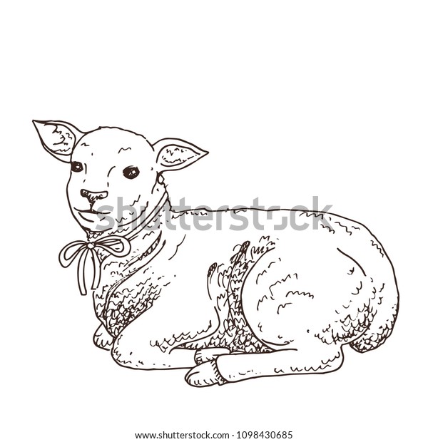 Black White Hand Drawn Lamb Cute Animals Wildlife Stock Image