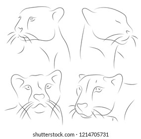 Black and white hand drawn linear sketch of cheetah heads. Cheetah - Acinonyx jubatus. Vector