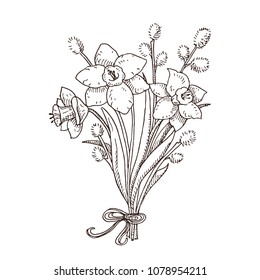 Black and white hand drawn narcissus and willow branches bouqet. Beautiful flowers. Spring symbol.