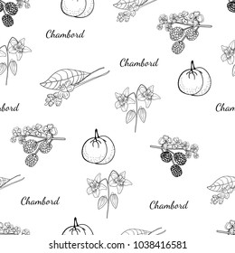 Black and white Hand drawn Pattern Alcohol Herbs Recipe Shambord Vanilla Orange Raspberries Blackberries