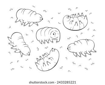 Black and white hand drawn set of six funny tardigrades. Vector illustration.