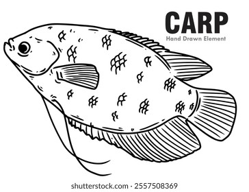 Black and white hand drawn sketch of gourami fish, on a white background, suitable for vector shape design elements, animal coloring books, food, gourami, carp, fish