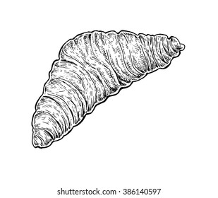 Black and white hand drawn sketch of a croissant. Vector illustration