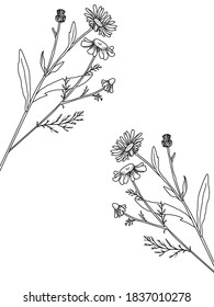 Black and white hand drawn spring bunch flower