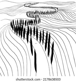 Black and white hand drawn Toscana countryside scenery. Graphic vector illustration Italian landscape