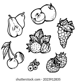 Black and white hand drawn vector set of fruits and berries isolated on white background. Healthy food collection sketch pictures, line graphics
