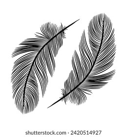 Black and white hand drawn vector illustration with feathers. Black feathers on a white background.