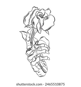 black and white hand drawn vector illustration of a flower engraving vector