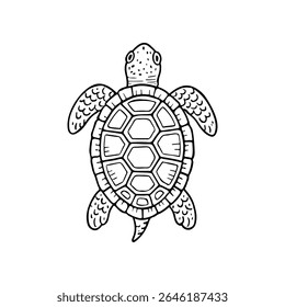 Mão preta e branca desenhada ilustração vetorial de uma tartaruga marinha. A tartaruga tem uma concha detalhada com formas geométricas e nadadeiras texturizadas