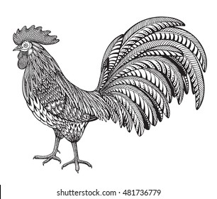 Black and white hand drawn vector illustration of fiery rooster in doodle ornate style. Beautiful pattern. symbol of the new year