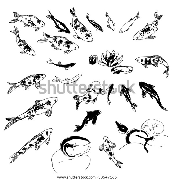 Featured image of post How To Draw Koi Fish Scales If you d like to download a free printable of these instructions visit our website watch how to create a beautiful koi fish drawing from the world s leading how to specialist