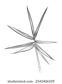 black and white hand-drawn bamboo branches vector