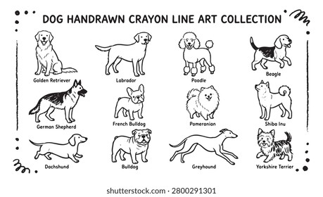 A black and white handdrawn crayon line art collection featuring 12 different dog breeds, including Golden Retriever, Labrador, Poodle, Beagle, German Shepherd, French Bulldog, Pomeranian, Shiba Inu,