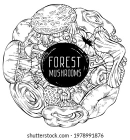 Black and white hand-drawn forest wild collection of assorted mushrooms. Circular cute frame. Can be used for menu design, recipe, label, icon, recipe, packaging, web. Cartoon style. Botanical drawing