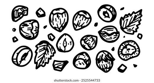 A black and white hand-drawn illustration of hazelnut and leaves, featuring a simple and minimalistic style perfect for nature and food-themed designs