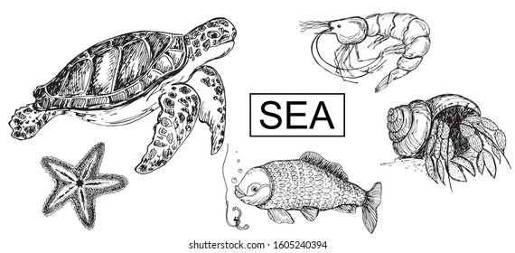 Black and white hand-drawn illustration on the marine theme. The picture shows marine animals and fish. Sea animals sketch.