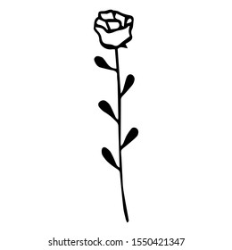Black and white hand-drawn rose on a white background. Vector.
