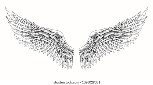 Black and white hand-drawn wings of angel or archangel, element of insignia or coat of arms. EPS 8.