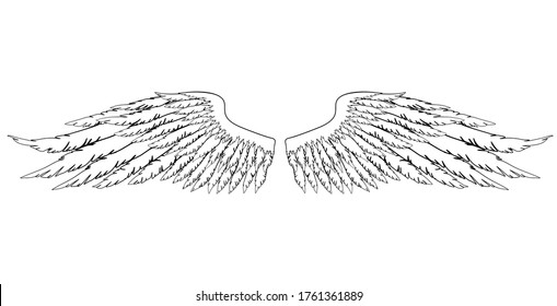Black and white hand-drawn wings of angel or archangel, element of insignia or coat of arms. EPS 8.