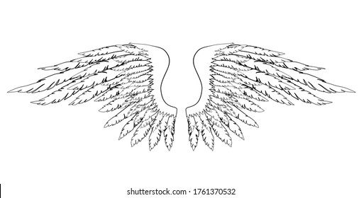 Black and white hand-drawn wings of angel or archangel, element of insignia or coat of arms. EPS 8.