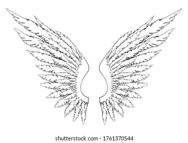 Black and white hand-drawn wings of angel or archangel, element of insignia or coat of arms. EPS 8.