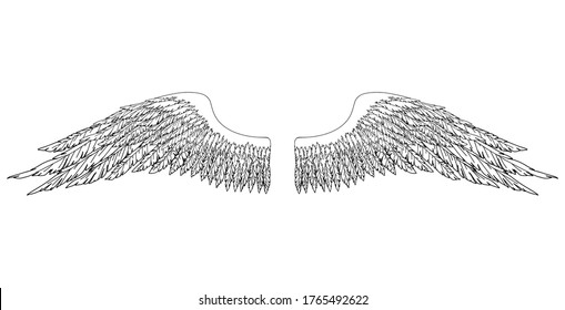 Black and white hand-drawn wings of angel or archangel, element of insignia or coat of arms. EPS 8.