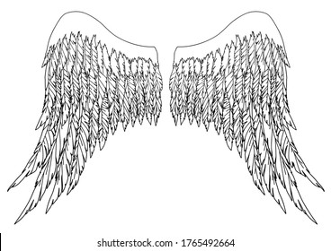 Black and white hand-drawn wings of angel or archangel, element of insignia or coat of arms. EPS 8.