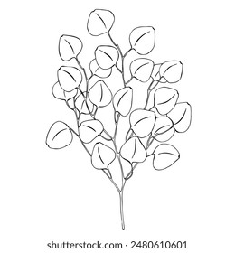 A black and white hand-painted eucalyptus branch. Black outline of a eucalyptus tree on a white background.
