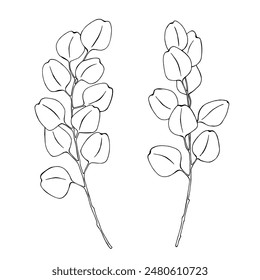 A black and white hand-painted eucalyptus branch. Black outline of a eucalyptus tree on a white background.
