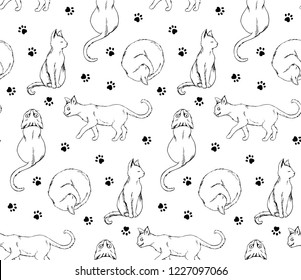 Black and white handrawn cats pattern 