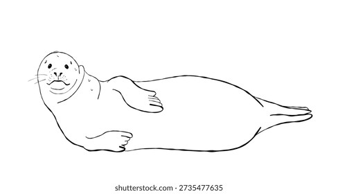 Black and white harbor seal relaxing on the shore, clean outline line art with simple details. Ideal for coloring pages, coastal posters, education, stickers, and branding.