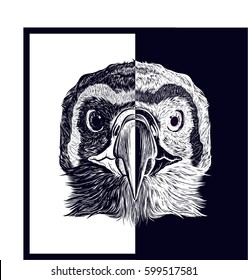 Black and white head of dangerous bird. Grif. Vector isolated illustration. Design for print t-shirt.