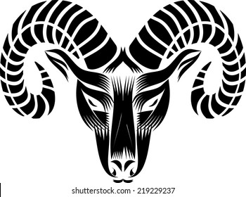 black and white  head of a goat