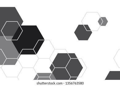 Black and white hexagon geometric patterned background vector