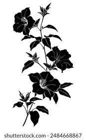 Black and white of a hibiscus flower in full bloom, ideal for nature-inspired projects