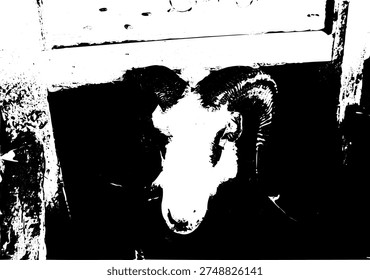 Black and white high contrast ram head illustration, dramatic sheep silhouette with horns, artistic animal portrait for graphic design, t-shirt print, and logo element