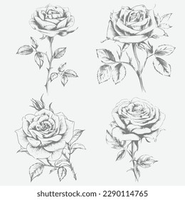 Black and white high-detail rose flower set in engraving style with leaves and stems. Decorative vector elements greeting card, wedding invitation, flower shop. Vector illustration